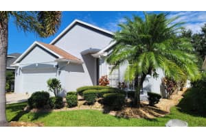 13616 SIGLER STREET, RIVERVIEW, FL 33579 - MLS#MFRTB8430004