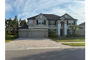 9633 Sorbonne Loop, SEFFNER