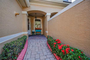 1904 PAW PAW PLACE, TRINITY, FL 34655 - MLS#MFRTB8430072