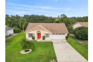 324 PINE LAKE VIEW DRIVE, DAVENPORT, FL 33837 - MLS#MFRTB8430091