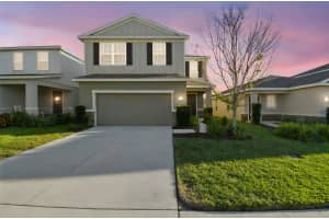 10765 HAWKS LANDING DRIVE, LAND O LAKES, FL 34638 - MLS#MFRTB8430113