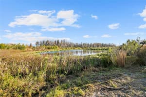 10765 HAWKS LANDING DRIVE, LAND O LAKES, FL 34638 - MLS#MFRTB8430113