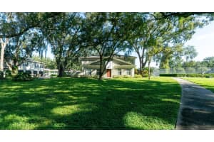 11738 RAINTREE DRIVE, TEMPLE TERRACE, FL 33617 - MLS#MFRTB8430140