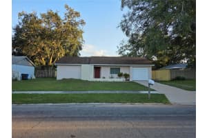17511 Brandywine Dr, LUTZ 17511 Brandywine Dr, LUTZ