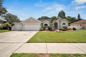 2216 GLEN MIST DRIVE, VALRICO, FL 33594 - MLS#MFRTB8430194