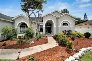 2216 GLEN MIST DRIVE, VALRICO, FL 33594 - MLS#MFRTB8430194