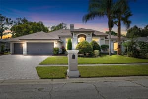 17104 Tiffany Lake Pl, LUTZ