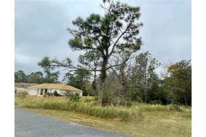Lot 16 GOLDEN WARBLER RD, WEEKI WACHEE, FL 34613 - MLS#MFRTB8430248