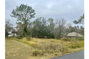 Lot 16 GOLDEN WARBLER RD, WEEKI WACHEE, FL 34613 - MLS#MFRTB8430248