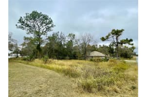 Lot 16 GOLDEN WARBLER RD, WEEKI WACHEE, FL 34613 - MLS#MFRTB8430248