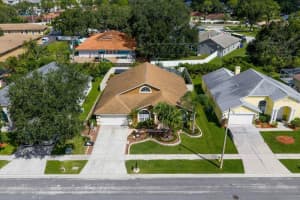 , TAMPA