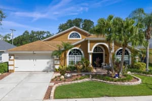 9136 ROCKROSE DRIVE, TAMPA, FL 33647 Sold 11/17/25