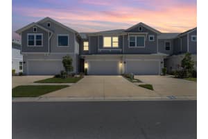 17228 BALANCE COVE, LAND O LAKES, FL 34638 - MLS#MFRTB8430281