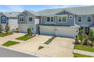 17228 BALANCE COVE, LAND O LAKES, FL 34638 - MLS#MFRTB8430281