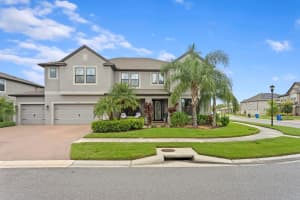10710 FOXTAIL PASTURE WAY, TAMPA, FL 33647 - MLS#MFRTB8430331