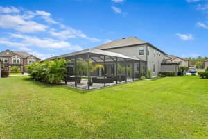 10710 FOXTAIL PASTURE WAY, TAMPA, FL 33647 - MLS#MFRTB8430331