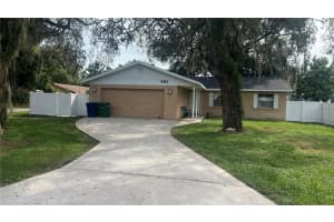 8423 N Otis Ave, TAMPA