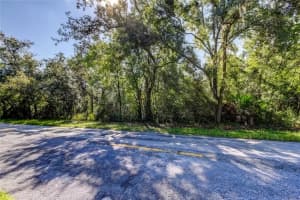 9670 STAR TRL, NEW PORT RICHEY, FL 34654 - MLS#MFRTB8430389