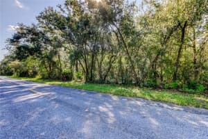 9670 STAR TRL, NEW PORT RICHEY, FL 34654 - MLS#MFRTB8430389
