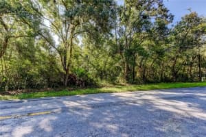 9670 STAR TRL, NEW PORT RICHEY, FL 34654 - MLS#MFRTB8430389