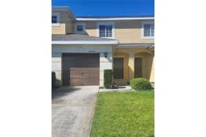 20430 Needletree Dr, TAMPA