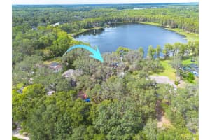 18922 ROGERS ROAD, ODESSA, FL 33556 - MLS#MFRTB8430400