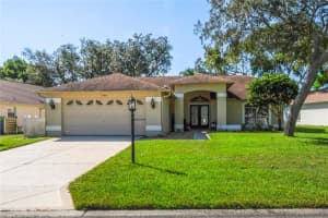 7340 Rosemont Ln, SPRING HILL