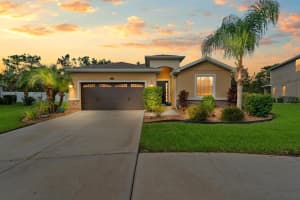5492 SUNCATCHER DRIVE, WESLEY CHAPEL, FL 33545 - MLS#MFRTB8430440