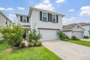 12175 WATER ASH PLACE, RIVERVIEW, FL 33579 - MLS#MFRTB8430444