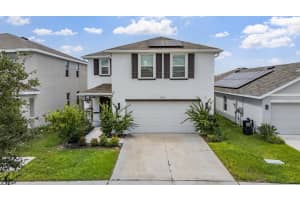 12175 WATER ASH PLACE, RIVERVIEW, FL 33579 - MLS#MFRTB8430444