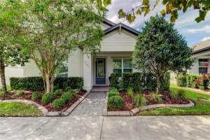 3791 VILLAMORE LANE, ODESSA, FL 33556 - MLS#MFRTB8430471