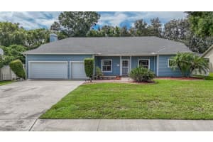 3919 APPLETREE DRIVE, VALRICO, FL 33594 - MLS#MFRTB8430488