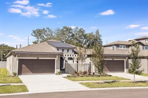 210 Villa Luna Ln, LUTZ