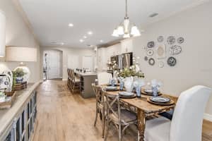 210 VILLA LUNA LANE, LUTZ, FL 33549 - MLS#MFRTB8430499