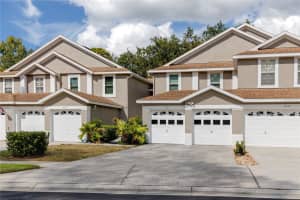4331 BROOKER CREEK DRIVE, PALM HARBOR, FL 34685 - MLS#MFRTB8430517