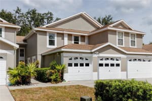 4331 BROOKER CREEK DRIVE, PALM HARBOR, FL 34685 - MLS#MFRTB8430517