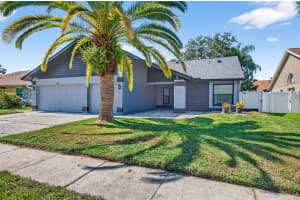 12025 STEPPINGSTONE BOULEVARD, TAMPA, FL 33635 - MLS#MFRTB8430525