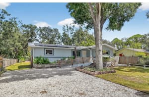 3087 DUANE AVENUE, OLDSMAR, FL 34677 - MLS#MFRTB8430526