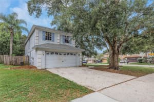 3697 Fremantle Dr, PALM HARBOR 3697 Fremantle Dr, PALM HARBOR
