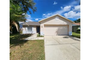 11132 Windpoint Dr, TAMPA
