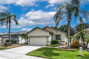 8128 AMBERSWEET PLACE, LAND O LAKES, FL 34637 - MLS#MFRTB8430541