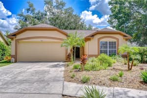 4910 Rambling Rose Pl, TAMPA