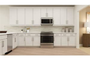 1409 CHESTNUT STREET, TAMPA, FL 33607 - MLS#MFRTB8430666