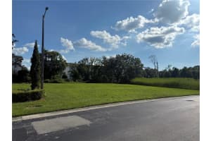 ISLAND SHORES LN, LAKELAND, FL 33809 - MLS#MFRTB8430703