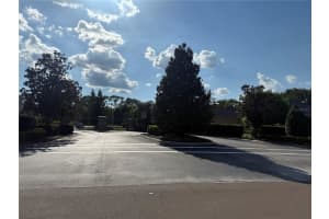 ISLAND SHORES LN, LAKELAND, FL 33809 - MLS#MFRTB8430703