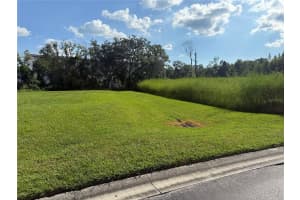 ISLAND SHORES LN, LAKELAND, FL 33809 - MLS#MFRTB8430703