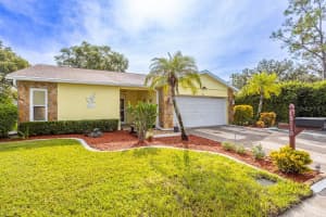 13110 Elgar Pl, RIVERVIEW 13110 Elgar Pl, RIVERVIEW