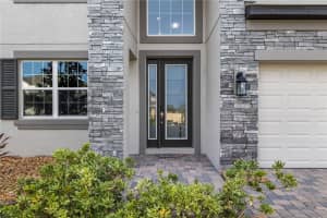 22166 WOODMEN HALL DRIVE, LAND O LAKES, FL 34639 - MLS#MFRTB8430760