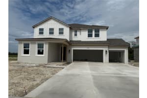 10050 HIDDEN HAMMOCK LOOP, PARRISH, FL 34219 - MLS#MFRTB8430779