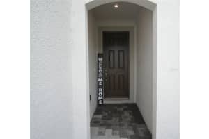 19342 GREAT INTENTION WAY, LUTZ, FL 33558 - MLS#MFRTB8430784